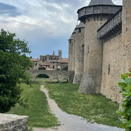 Casa de Férias Maison Petit Arago Avec Roof Terrace Et Parking Prive