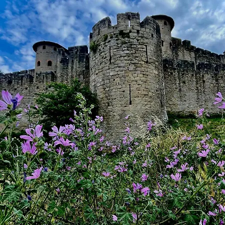Casa de Férias Maison Petit Arago Avec Roof Terrace Et Parking Prive Carcassonne