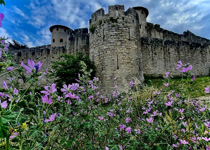 Nyaraló Maison Petit Arago Avec Roof Terrace Et Parking Prive Carcassone